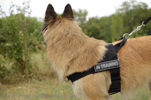 Dog Harness for Tervuren
