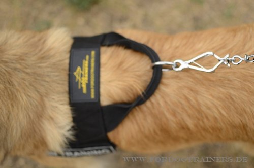 Nylon Dog Harness online buy