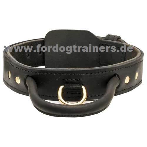 Akita Inu Dog Collar leather with handle for trainings