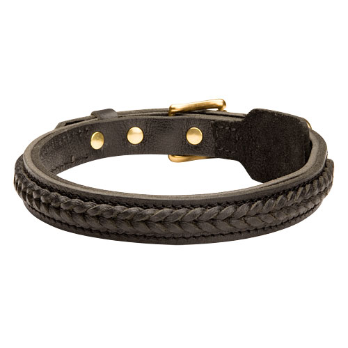 2 Ply Leather Dog Collar of with Braids