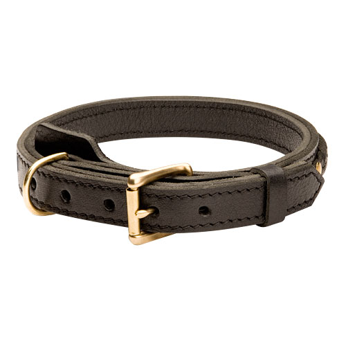 2 Ply Leather Dog Collar of with Braids