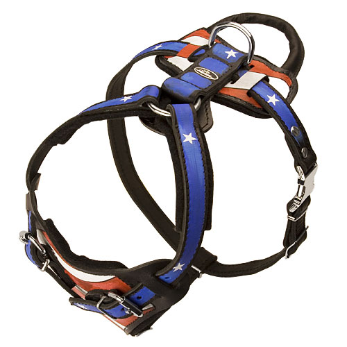 USA Style Dog Harness Chest Dog|Harness with Hand-painted Design