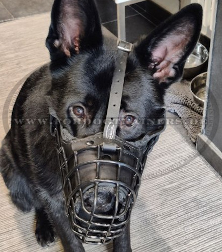 Rubber Covered Wire Dog Muzzle for Dog's Training