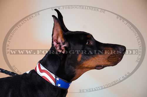 Hundehalsband Leder Bemalt im USA Stil Dobermann - zum Schließen ins Bild klicken