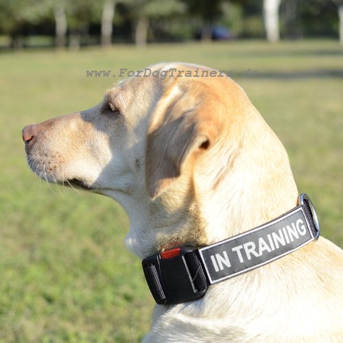 Labrador Hasband Nylon | Halsband für Große Hunderasse - zum Schließen ins Bild klicken