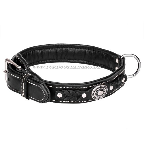 Luxurious Dog Collar with Leather Braids - Click Image to Close