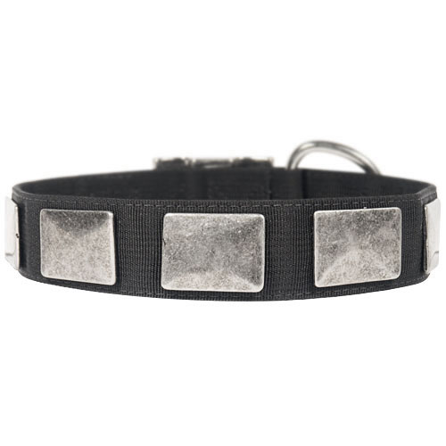 Noble Dog Collar from Nylon with Vintage Plates - Click Image to Close