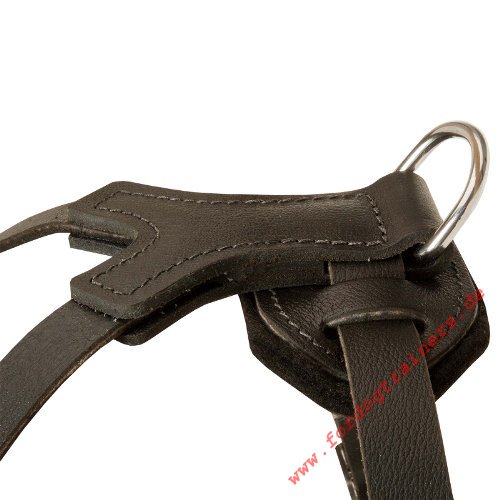 Studded Harness with Pyramids|Dog Harness Top Quality
