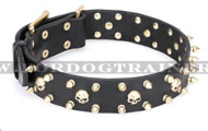 Dog Collar of black Leather "Rock Star" FDT Artisan, Dekorated